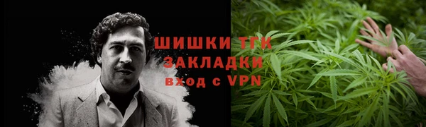 шишки Новозыбков