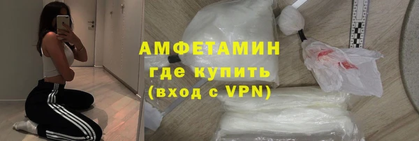 шишки Новозыбков