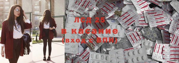 шишки Новозыбков